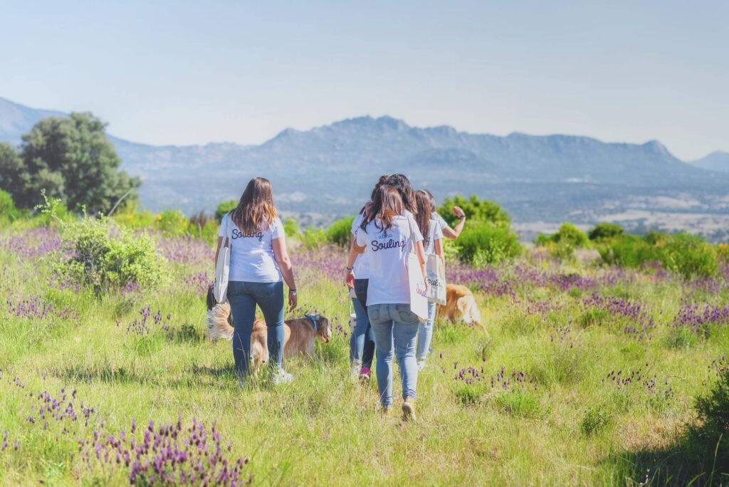 Personal de espacio terapéutico en campo de flores paseando con perros